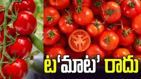 ట‘మాట’ రాదు