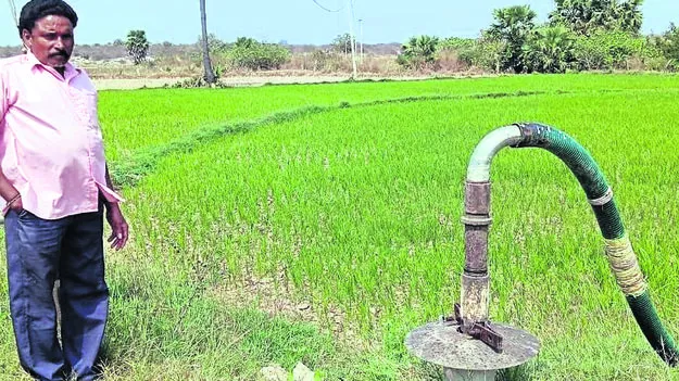 ఎంబీసీలో ఎండుతున్న పంటలు