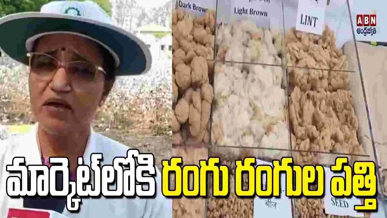 మార్కెట్‌లోకి రంగు రంగుల పత్తి