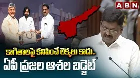 ఏపీ ప్రజల ఆశలను నెరవేర్చే బడ్జెట్: మంత్రి పయ్యావుల