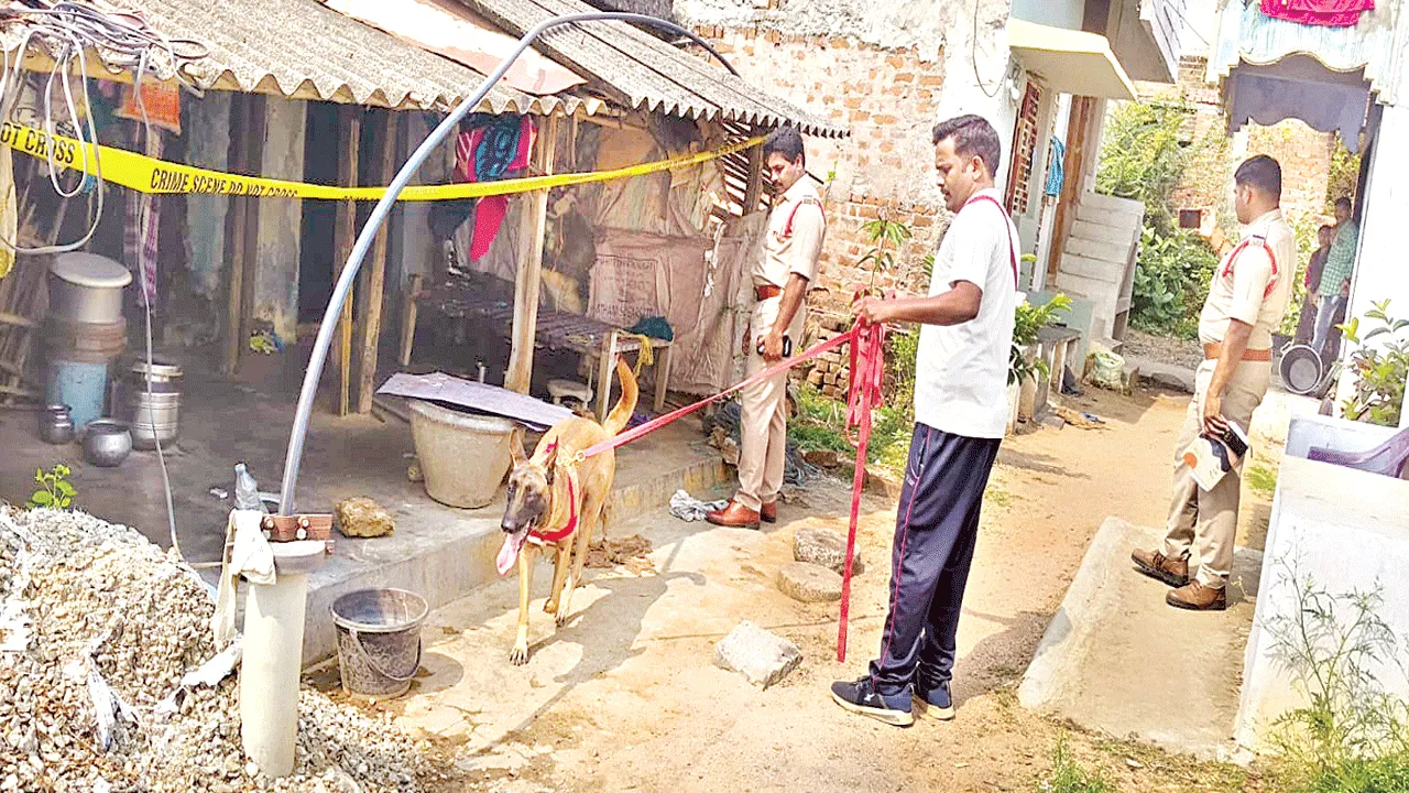 Pension Money పింఛన్‌ సొమ్ము కోసం వృద్ధురాలిపై దాడి