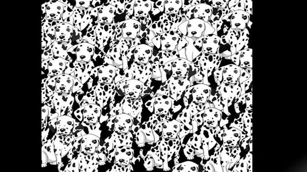 మీ మెదడుకు మేత .. ఈ ఫొటోలో మచ్చలు లేని కుక్కను 5 సెకెన్లలో కనిపెట్టండి..