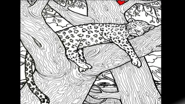 మీ కళ్లు చురుకైనవి అయితే.. ఈ చెట్టుపై చేప ఎక్కడుందో 25 సెకెన్లలో కనుగొనండి..