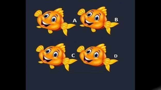 మీది హె‌చ్‌డీ చూపు అయితే.. ఈ నాలుగింటిలో భిన్నమైన చేపను 5 సెకెన్లలో గుర్తించండి.. 