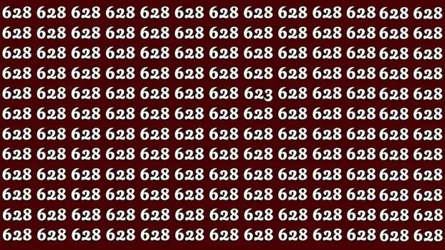 మీ కళ్లు షార్ప్ అయితే.. ఈ ఫొటోలో 628ల మధ్యలో 623 ఎక్కడుందో 45 సెకెన్లలో కనిపెట్టండి!