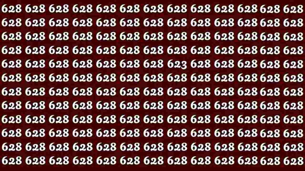 మీ కళ్లు షార్ప్ అయితే.. ఈ ఫొటోలో 628ల మధ్యలో 623 ఎక్కడుందో 45 సెకెన్లలో కనిపెట్టండి!