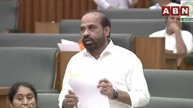 త్వరలోనే పీపీపీ విధానంలో కాలేజీలు పూర్తి: మంత్రి 