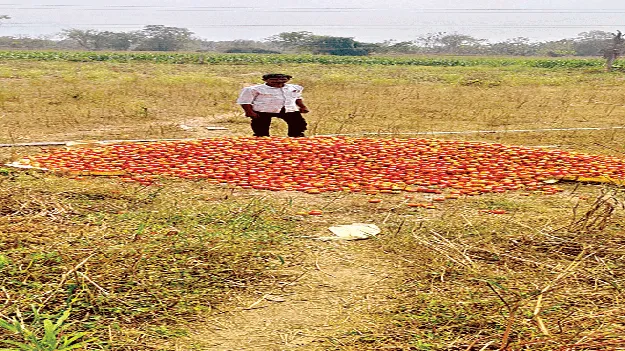   Unending Agony కష్టం వృథా.. తీరని వ్యధ