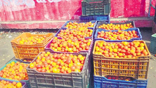 టమోటా ధర నేల చూపులు