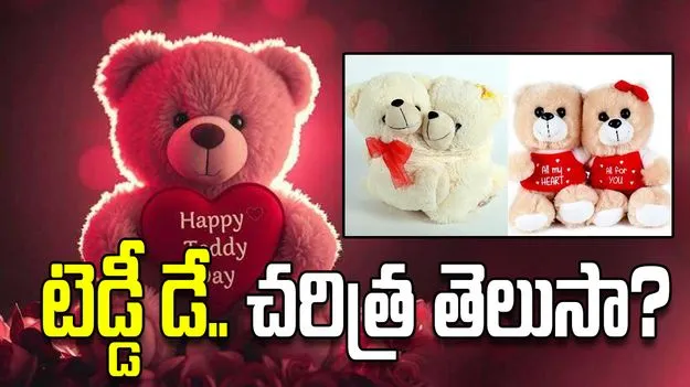 టెడ్డీ డే గురించి ఈ విషయాలు మీకు తెలుసా..