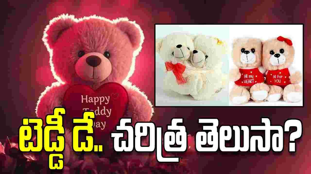 టెడ్డీ డే గురించి ఈ విషయాలు మీకు తెలుసా..