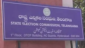 ఎక్స్‌అఫీషియో సభ్యుల ఓటు హక్కుపై ఎస్‌ఈసీ క్లారిటీ