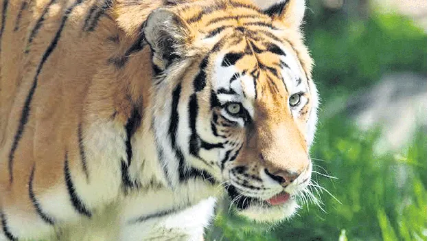 ప్రక్రియ ముగిసింది.. లెక్క మిగిలింది!