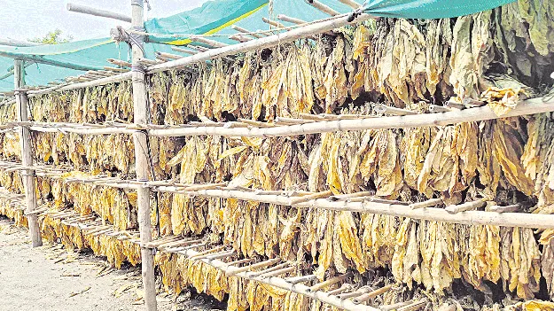 బయట కొనుగోళ్లు ప్రారంభం