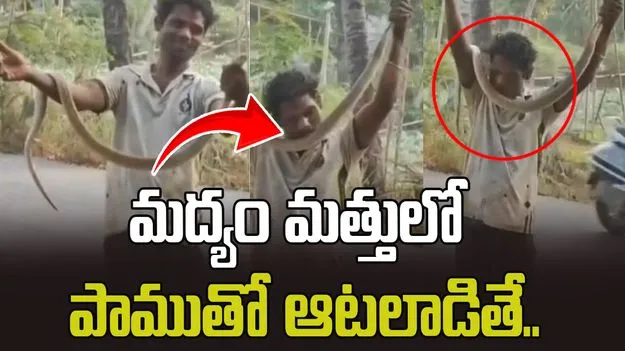 మద్యం మత్తులో పాముతో ఆటలాడితే.. చివరకు అతడి పరిస్థితి ఏమైందంటే..
