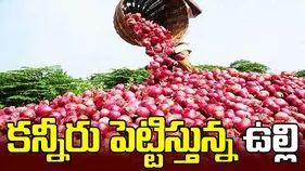 కన్నీరు పెట్టిస్తున్న ఉల్లి