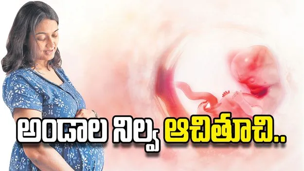 అండాల నిల్వ ఆచితూచి..