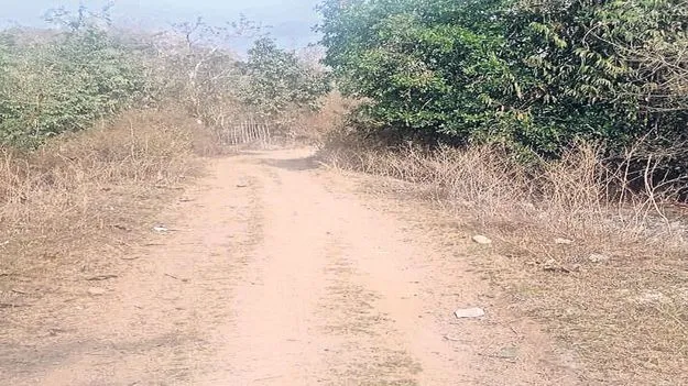 శంకుస్థాపన చేసి ఏడాదైనా   ప్రారంభం కాని మెట్టపాలెం రోడ్డు పనులు 