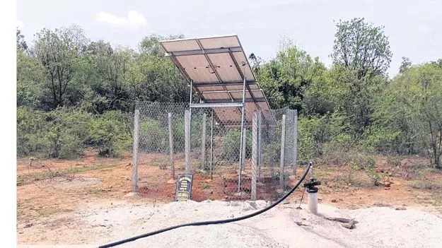 అటవీ జంతువుల దప్పిక తీర్చేందుకు..