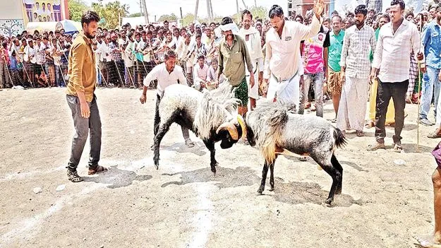     గోరంట్లలో అట్టహాసంగా పోటీలు