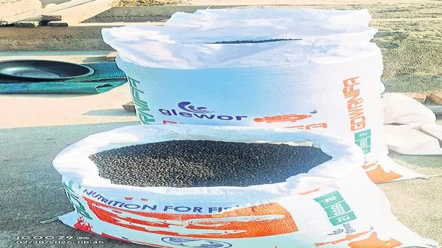 తగ్గిన మిరియాల ధర