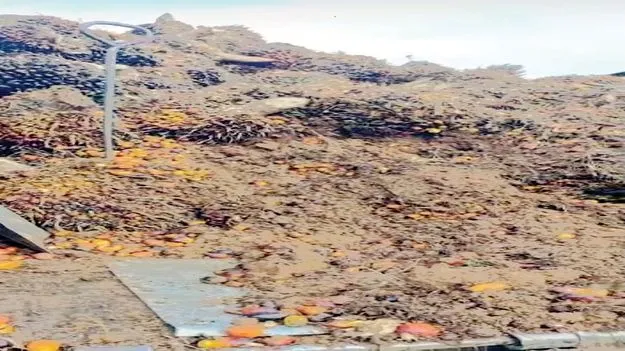 కలెక్షన్‌ సెంటర్ల.. మాయాజాలం!