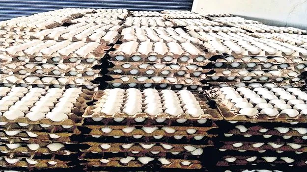  గుడ్డుకు గడ్డు కాలం