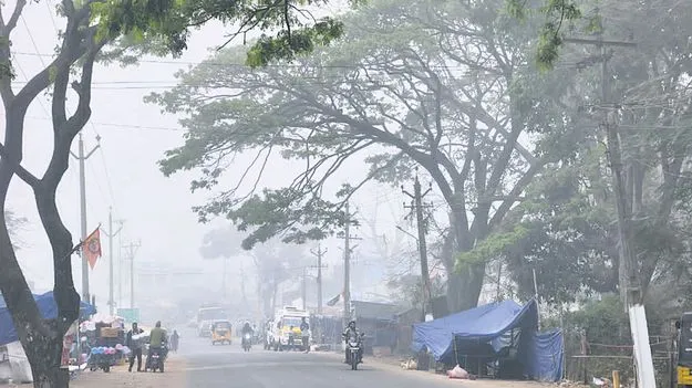  దట్టంగా పొగమంచు 