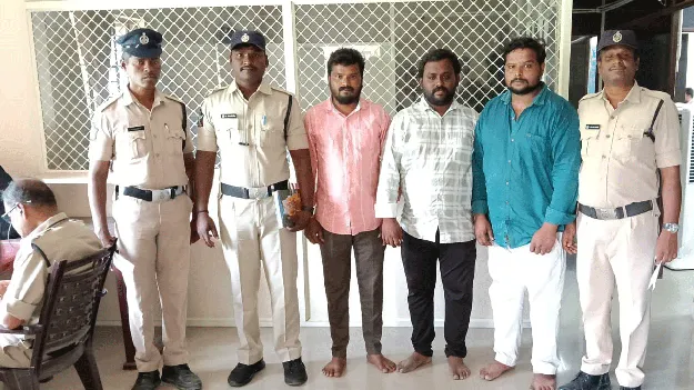 ఎర్రచందనం కేసులో ముగ్గురికి జైలు