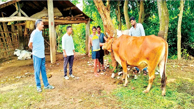      గాలికుంటుతో ప్రమాదం