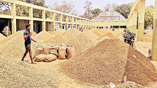 పంట ఉత్పత్తులతో మార్కెట్‌ కళకళ 