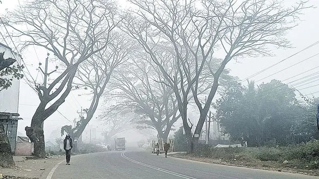 మన్యంలో విభిన్న వాతావరణం 
