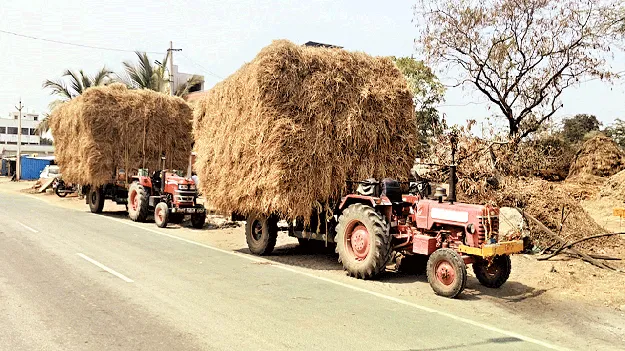 వరి గడ్డి ధరల మోత..