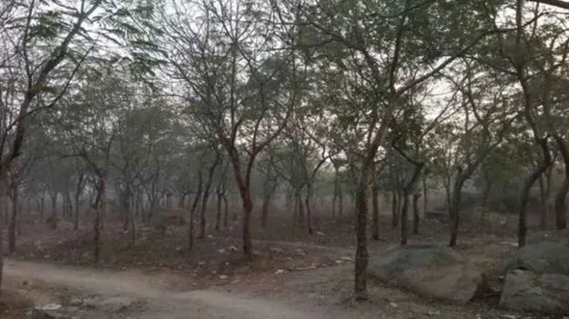 గుర్రంగూడ ప్రాంతం.. రిజర్వ్‌ ఫారెస్ట్‌