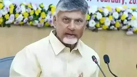 ‘అమూల్‌’ తరహాలో డ్వాక్రా ఉత్పత్తులకు ‘స్వయం’ బ్రాండ్‌!