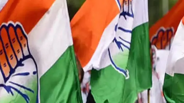 కాంగ్రెస్‌ పార్టీకి, ప్రభుత్వానికి మధ్య వారధిగా సమన్వయ కమిటీ 