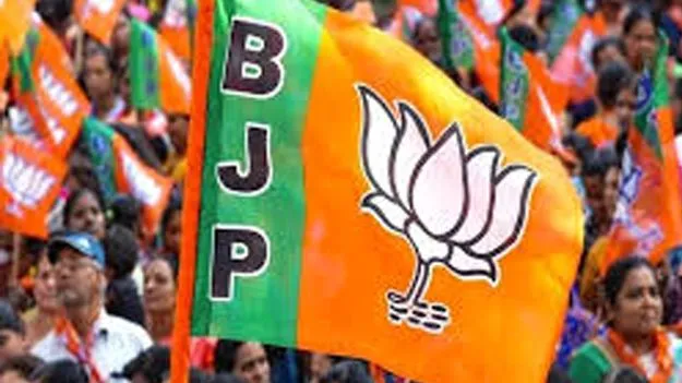 రాజ్యసభలో సెంచరీ దాటిన బీజేపీ బలం