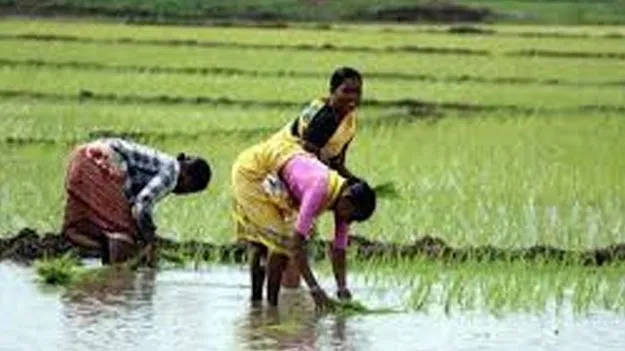 61,125 మంది రైతులకు నేడు కిట్ల పంపిణీ