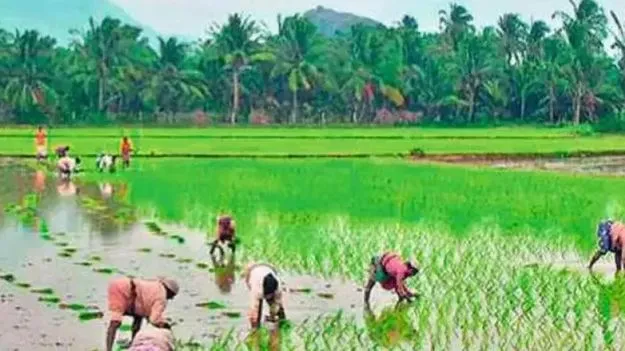 ప్రకృతి వ్యవసాయంలో దేశానికే తెలంగాణ ఆదర్శం కావాలి