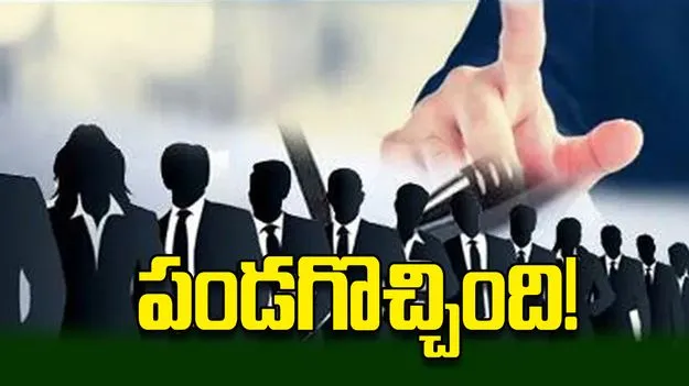 పండగొచ్చింది!