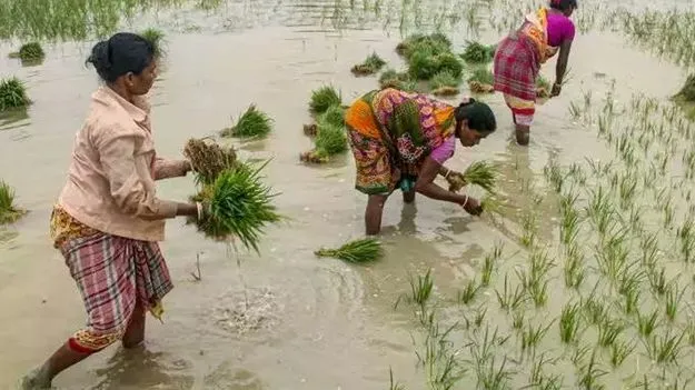 దక్షిణాదిలో రాష్ట్రంలోనే రైతు రుణ భారం తక్కువ