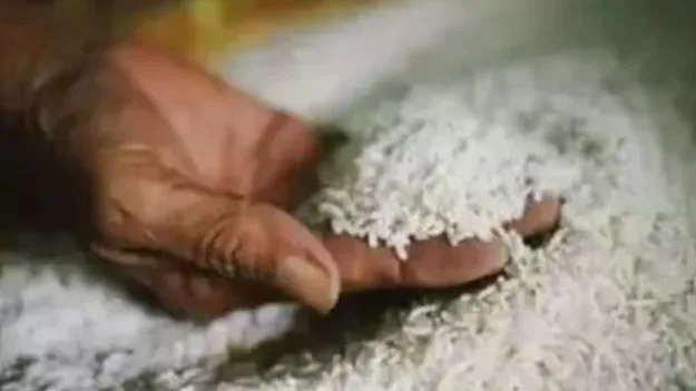 యాసంగిలో 90 లక్షల టన్నుల ధాన్యం కొనుగోళ్లు