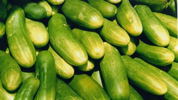 Karimnagar:  ఎండ నుంచి ఉపశమనం... శరీరానికి చల్లదనం.. 