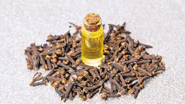 లవంగ నూనెతో హెయిర్‌ కేర్‌...