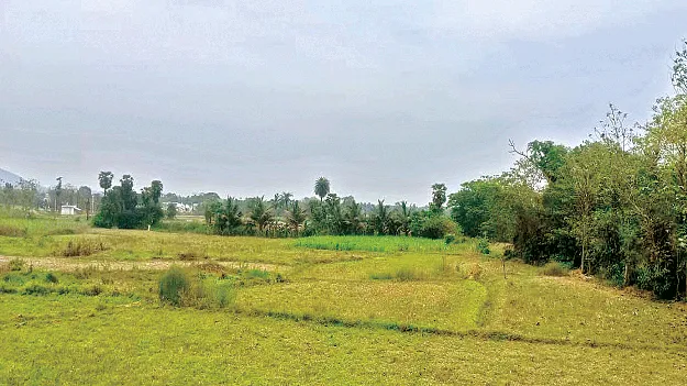 no records  those lands పేరుకే వారి భూములు