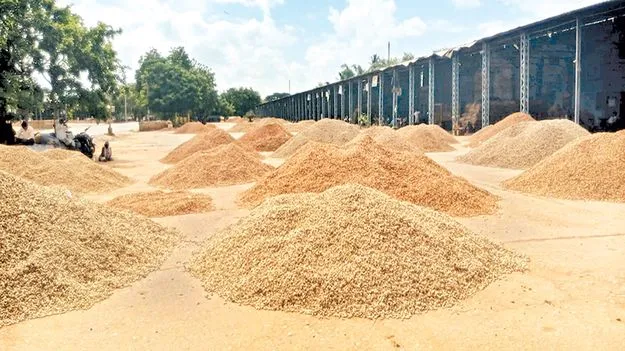 వేరుశనగ ధర పతనం