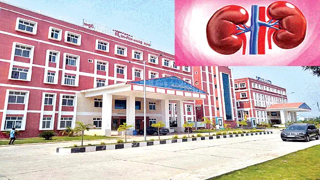 అప్రమత్తతే కిడ్నీకి రక్ష