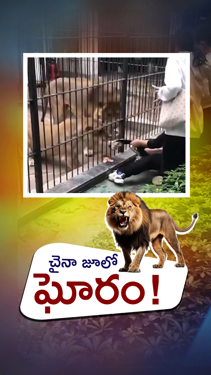 ABN Andhrajyothy Telugu Short News Video - Quick News Updates in 60 Seconds