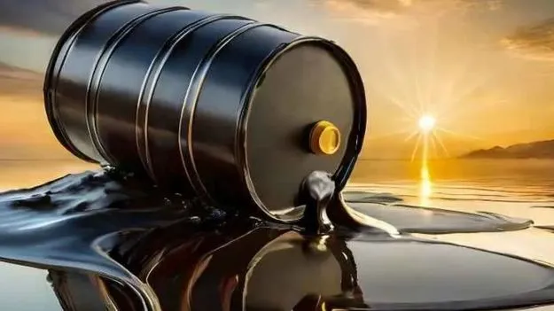 ముడి చమురు.. ఎన్ని రకాలో తెలుసా?