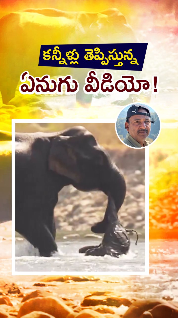 ABN Andhrajyothy Telugu Short News Video - Quick News Updates in 60 Seconds